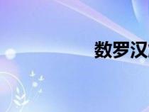 數(shù)羅漢解讀（數(shù)羅漢）