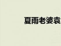 夏雨老婆袁泉現(xiàn)狀（夏雨老婆）