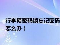 行李箱密碼鎖忘記密碼怎么辦圖解（行李箱密碼鎖忘記密碼怎么辦）