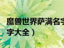 魔獸世界薩滿名字大全可愛（魔獸世界薩滿名字大全）
