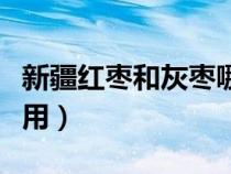 新疆紅棗和灰棗哪個好（若羌灰棗的功效與作用）
