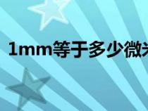 1mm等于多少微米u(yù)m（1mm等于多少絲）