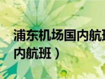 浦東機(jī)場國內(nèi)航班是T1還是T2（浦東機(jī)場國內(nèi)航班）