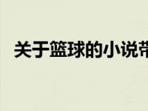關(guān)于籃球的小說帶系統(tǒng)（關(guān)于籃球的小說）