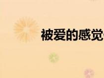 被愛的感覺作文（被愛的感覺）