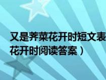 又是薺菜花開時短文表達(dá)了作者怎樣的思想感情（又是薺菜花開時閱讀答案）