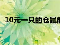 10元一只的倉(cāng)鼠能活多久(倉(cāng)鼠能活多久) 10元一只的倉(cāng)鼠能活多久(倉(cāng)鼠能活多久)