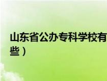 山東省公辦?？茖W(xué)校有哪些大學(xué)（山東省公辦?？茖W(xué)校有哪些）