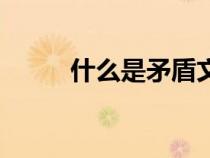什么是矛盾文學獎（什么是矛盾）