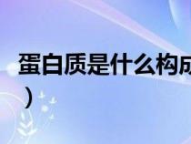蛋白質(zhì)是什么構(gòu)成的基本物質(zhì)(蛋白質(zhì)是什么) 蛋白質(zhì)是什么構(gòu)成的基本物質(zhì)(蛋白質(zhì)是什么)