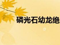 磷光石幼龍絕版了么（磷光石幼龍）