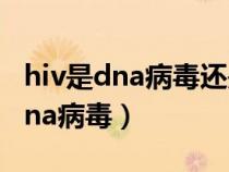 hiv是dna病毒還是rna病毒（hiv是dna還是rna病毒）