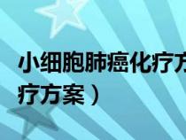 小細(xì)胞肺癌化療方案伊立替康（小細(xì)胞肺癌化療方案）
