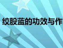 絞股藍的功效與作用有哪些（絞股藍的功效）