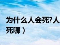 為什么人會(huì)死?人死了會(huì)去哪里?(為什么人會(huì)死哪) 為什么人會(huì)死?人死了會(huì)去哪里?(為什么人會(huì)死哪)