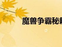 魔獸爭霸秘籍（魔獸爭霸3秘籍）