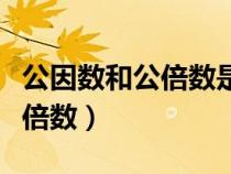 公因數(shù)和公倍數(shù)是幾年級的內(nèi)容(公因數(shù)和公倍數(shù)) 公因數(shù)和公倍數(shù)是幾年級的內(nèi)容(公因數(shù)和公倍數(shù))