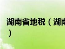 湖南省地稅（湖南地稅網上申報系統(tǒng)登錄官網）