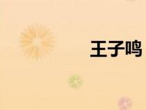 王子鳴 導(dǎo)演（王子鳴）
