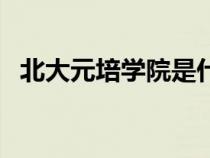 北大元培學(xué)院是什么專業(yè)（北大元培學(xué)院）