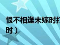恨不相逢未嫁時打一準確生肖（恨不相逢未嫁時）