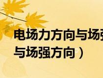 電場力方向與場強方向的區(qū)別?（電場力方向與場強方向）