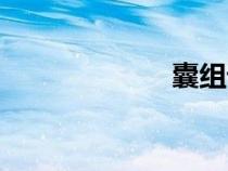 囊組詞（難組詞）