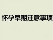懷孕早期注意事項(xiàng)大全（懷孕早期注意事項(xiàng)）