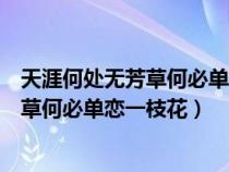 天涯何處無(wú)芳草何必單戀一枝花出自哪首詩(shī)（天涯何處無(wú)芳草何必單戀一枝花）
