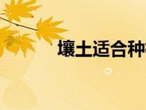 壤土適合種植什么植物（壤土）
