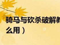騎馬與砍殺破解教程（騎馬與砍殺破解補(bǔ)丁怎么用）