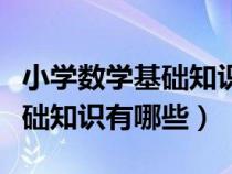 小學(xué)數(shù)學(xué)基礎(chǔ)知識(shí)點(diǎn)大全可復(fù)制(小學(xué)數(shù)學(xué)基礎(chǔ)知識(shí)有哪些) 小學(xué)數(shù)學(xué)基礎(chǔ)知識(shí)點(diǎn)大全可復(fù)制(小學(xué)數(shù)學(xué)基礎(chǔ)知識(shí)有哪些)
