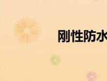剛性防水套管a型（剛性）