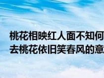 桃花相映紅人面不知何處去桃花依舊笑春風(fēng)（人面不知何處去桃花依舊笑春風(fēng)的意思）