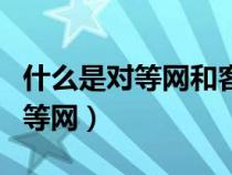 什么是對(duì)等網(wǎng)和客戶機(jī)/服務(wù)器網(wǎng)?（什么是對(duì)等網(wǎng)）