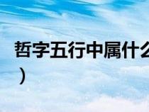 哲字五行中屬什么屬性（哲字在五行中屬什么）
