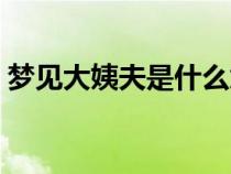 夢見大姨夫是什么意思（大姨夫是什么意思）