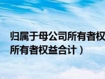 歸屬于母公司所有者權(quán)益合計(jì)屬于什么科目(歸屬于母公司所有者權(quán)益合計(jì)) 歸屬于母公司所有者權(quán)益合計(jì)屬于什么科目(歸屬于母公司所有者權(quán)益合計(jì))