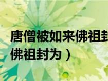 唐僧被如來佛祖封為旃檀功德佛(唐僧被如來佛祖封為) 唐僧被如來佛祖封為旃檀功德佛(唐僧被如來佛祖封為)