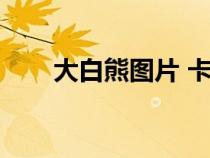 大白熊圖片 卡通頭像（大白熊圖片）