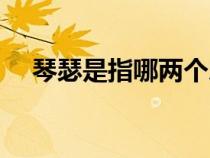 琴瑟是指哪兩個(gè)樂器（琴瑟和鳴的意思）