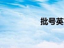 批號英文縮寫（批號）