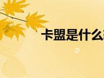 卡盟是什么軟件（卡盟是什么）