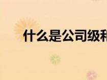 什么是公司級和純原級（什么是公司）