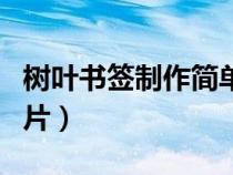 樹葉書簽制作簡單漂亮（樹葉書簽制作方法圖片）