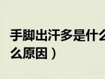 手腳出汗多是什么原因中醫(yī)（手腳出汗多是什么原因）