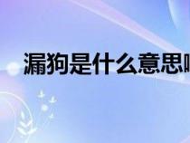 漏狗是什么意思?。╨ougou是什么意思）