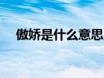 傲嬌是什么意思男生（傲嬌是什么意思）