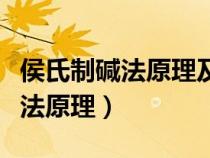 侯氏制堿法原理及流程化學(xué)方程式（侯氏制堿法原理）