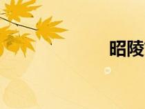 昭陵簡介（昭陵）